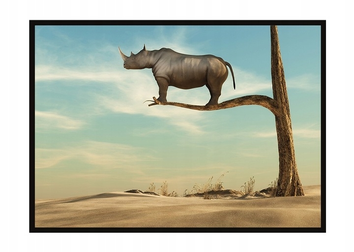 Plakat - Neshorn