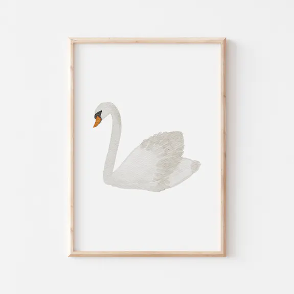 Plakat - Svane / Hvit