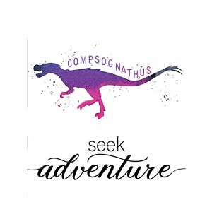 Plakat - COMPSOGNATHUS / Seek Adventure