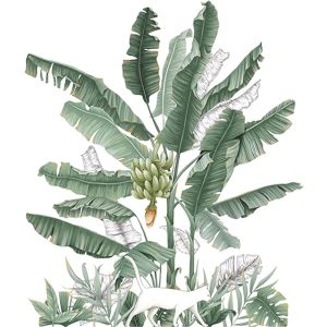 Veggklistremerke - Banan Plant