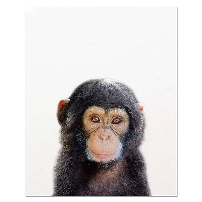 Plakat - Ape