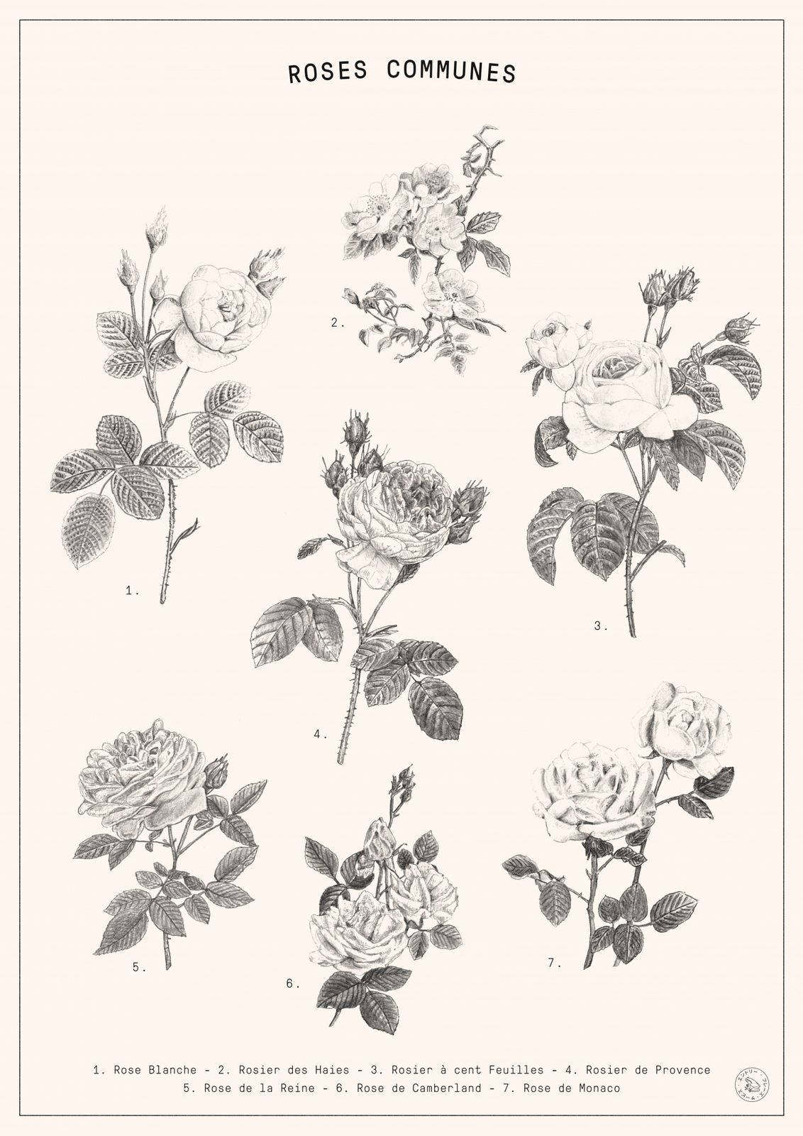 Plakat - Roses Communes