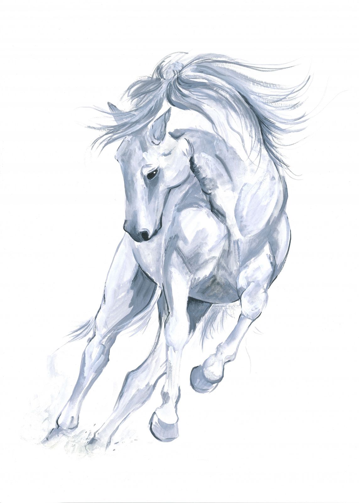Plakat - Hvit hest illustrasjon