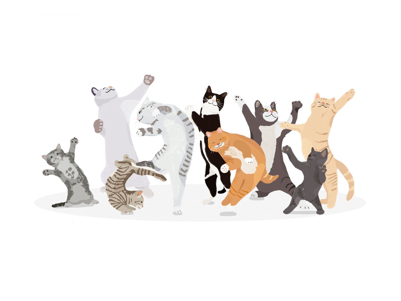 Plakat - Dansende Katter