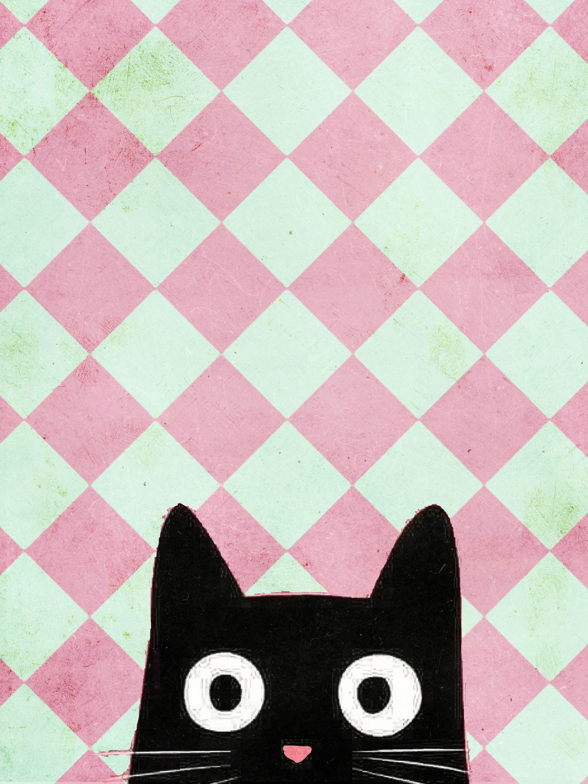 Plakat - Katte Design