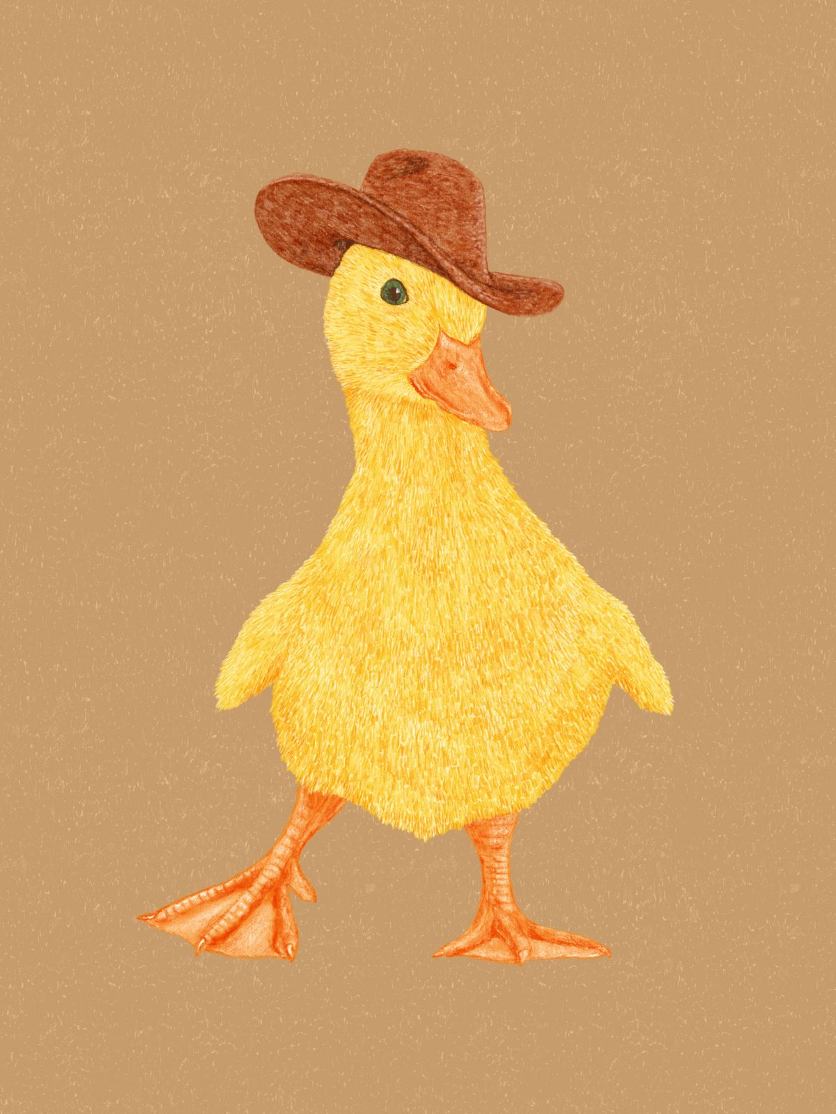 Plakat - And med Cowboyhatt