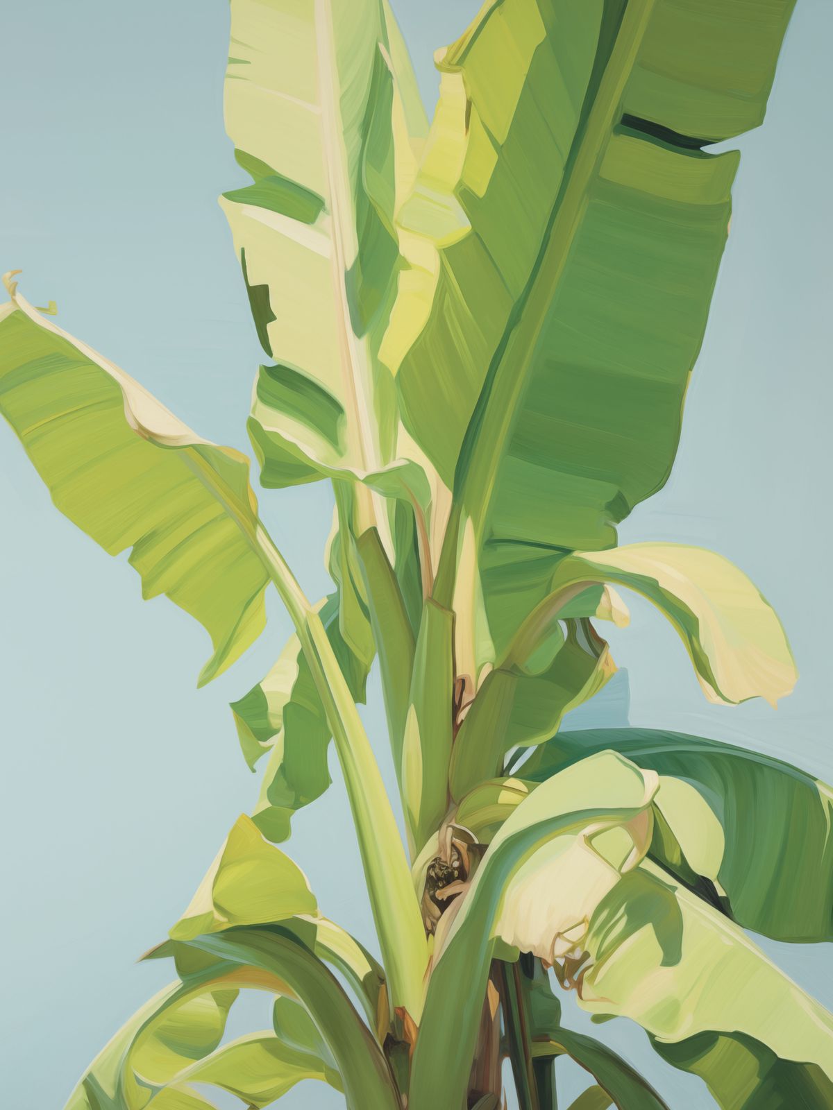 Plakat - Tropisk Bananblad