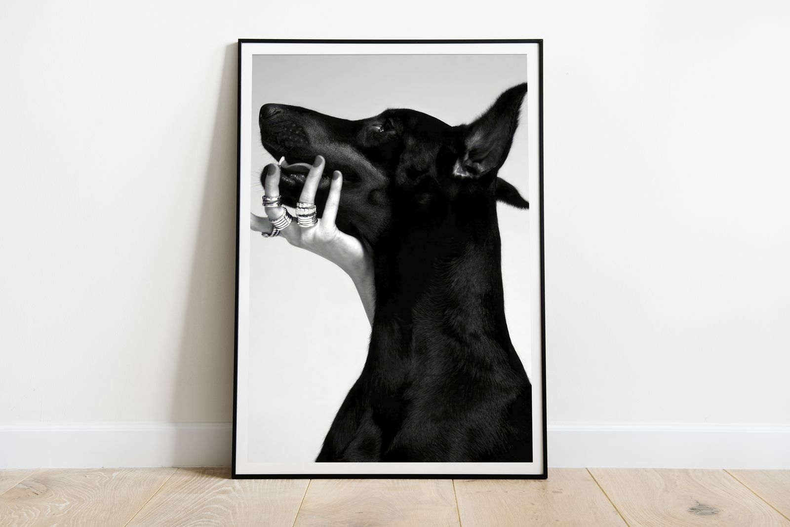 Plakat - Svart Hund Portrett