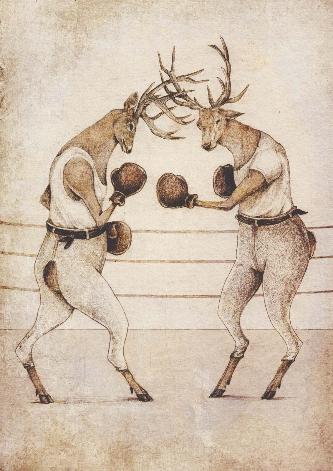 Plakat - Boksende Hjort