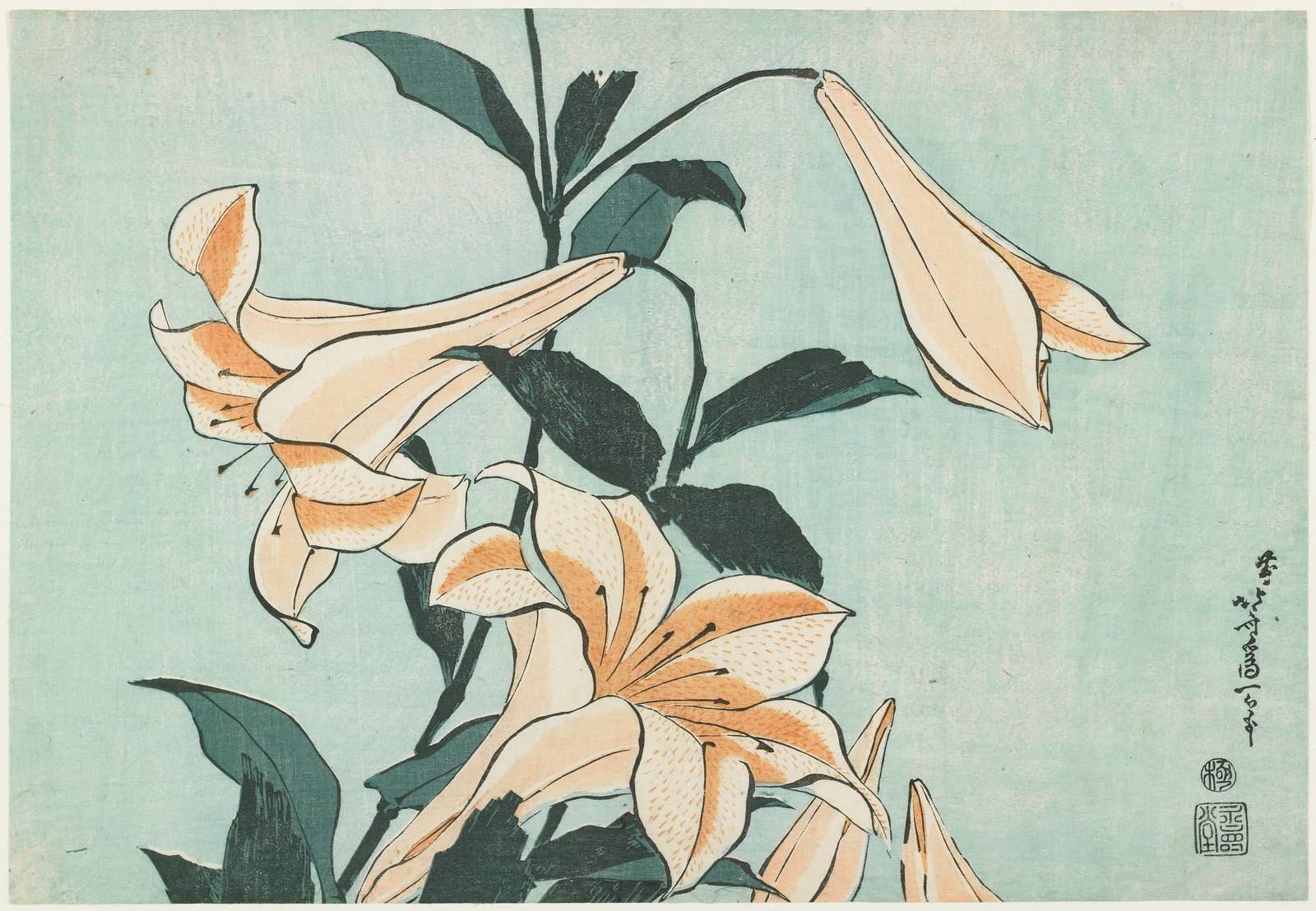 Plakat - Liljer av Hokusai
