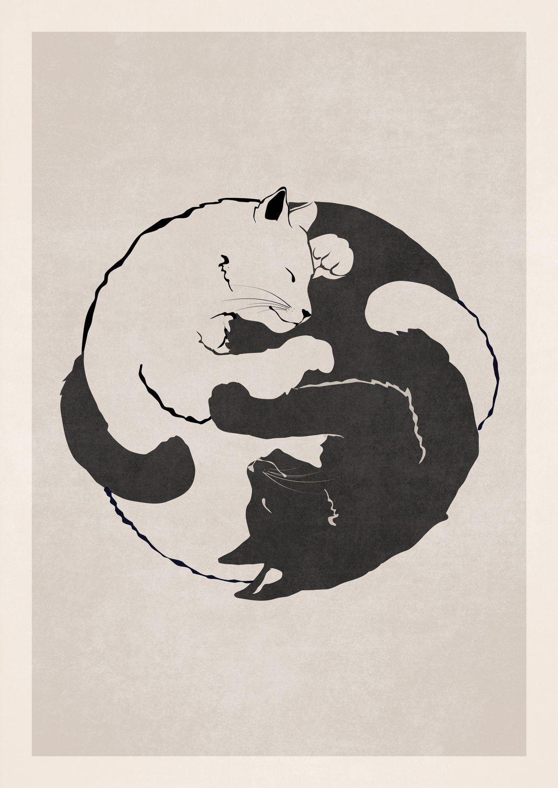 Plakat - Yin Yang Katter