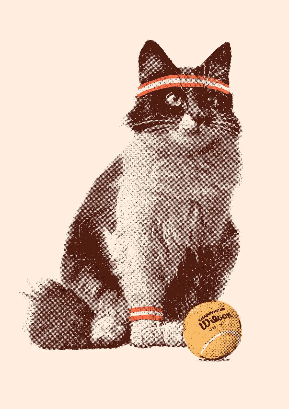 Plakat - Tennis Katt