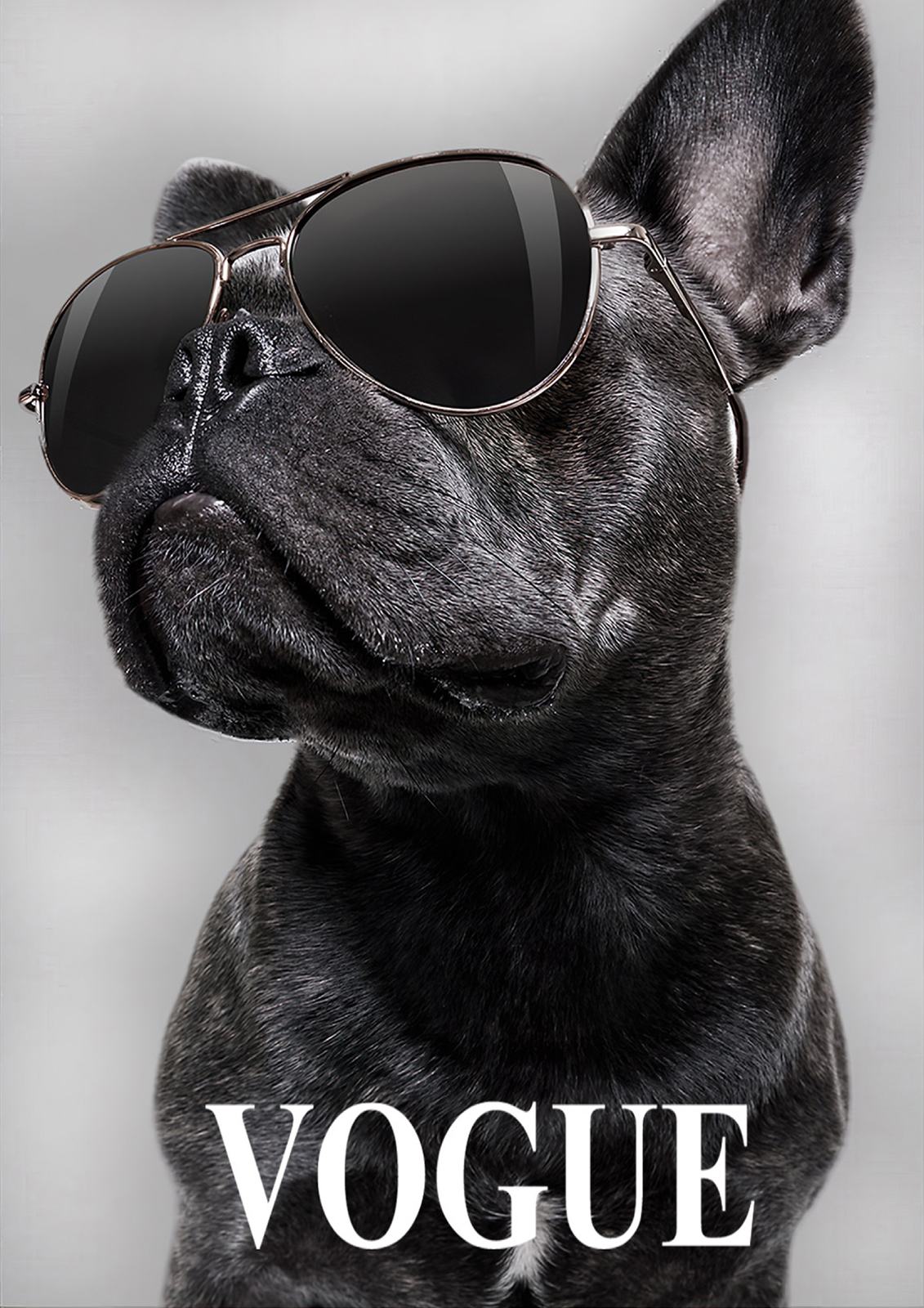 Trendy Hund Plakat