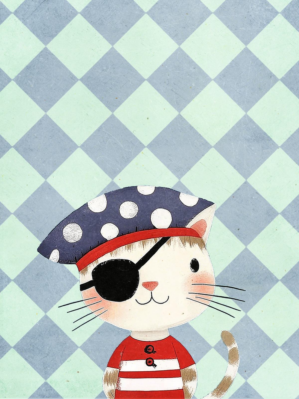 Plakat - Piratkatt