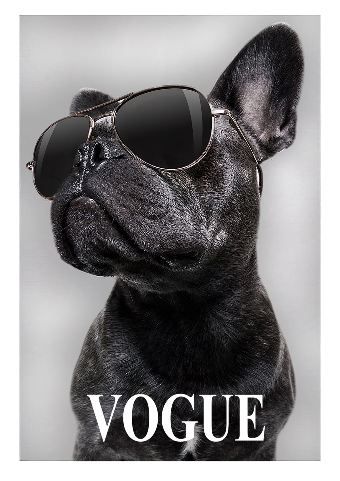 Stilig Hund Veggplakat
