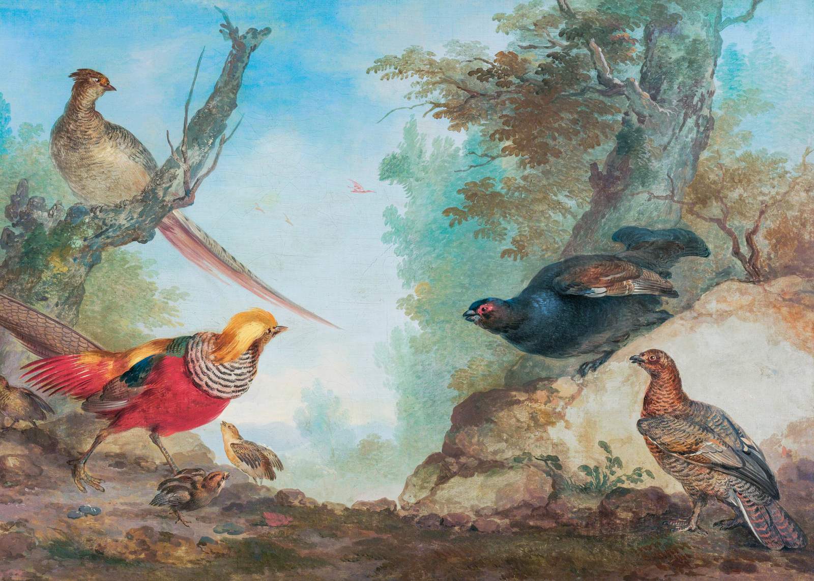 Plakat - Fuglemaleri