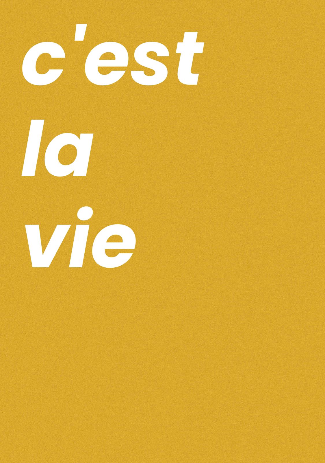 Plakat - C'est la Vie
